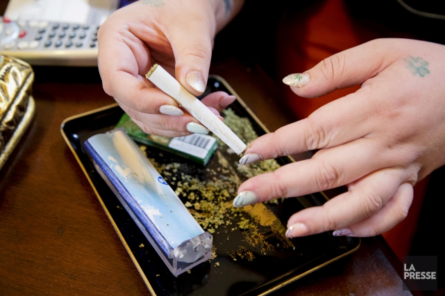 Le taux d'infractions liées au cannabis continue de diminuer au pays