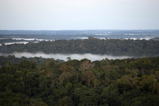 Amazonie: des millions d'hectares ouverts à l'exploitation minière