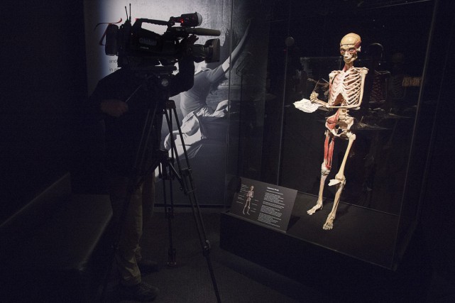 Une exposition de cadavres humains s'ouvre sans controverse Le conservateur des expériences et des expositions du... (Photo La Presse canadienne)
