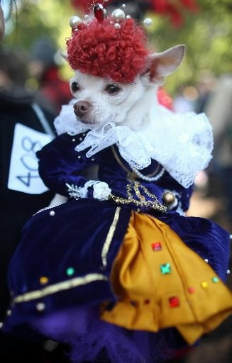 Japón chiquita Japón chiquita