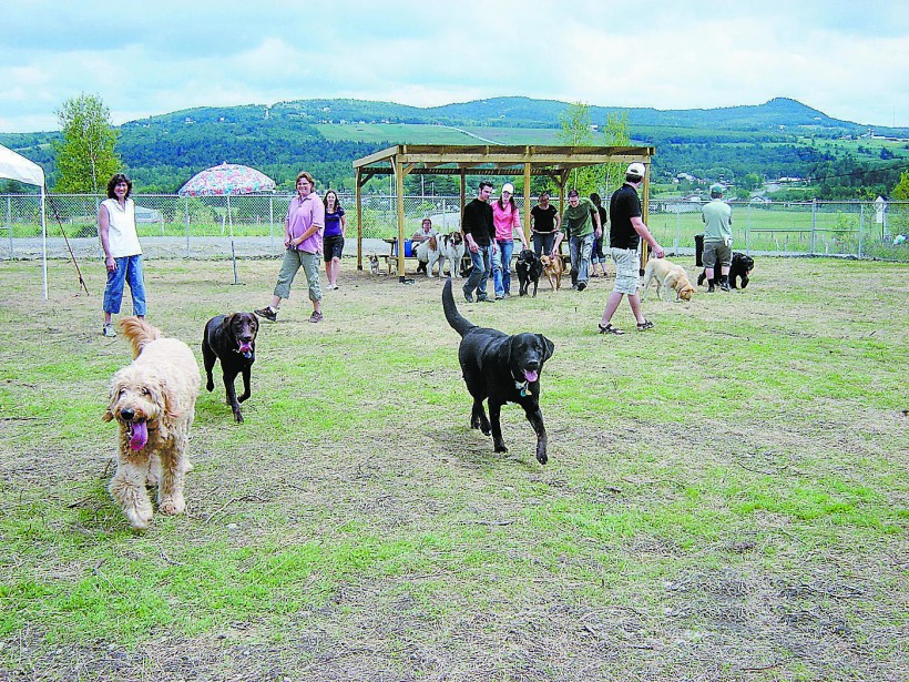 Le parc canin de Ste-Catherine fait bien des chiens Le parc canin de Ste-Catherine fait bien des chiens