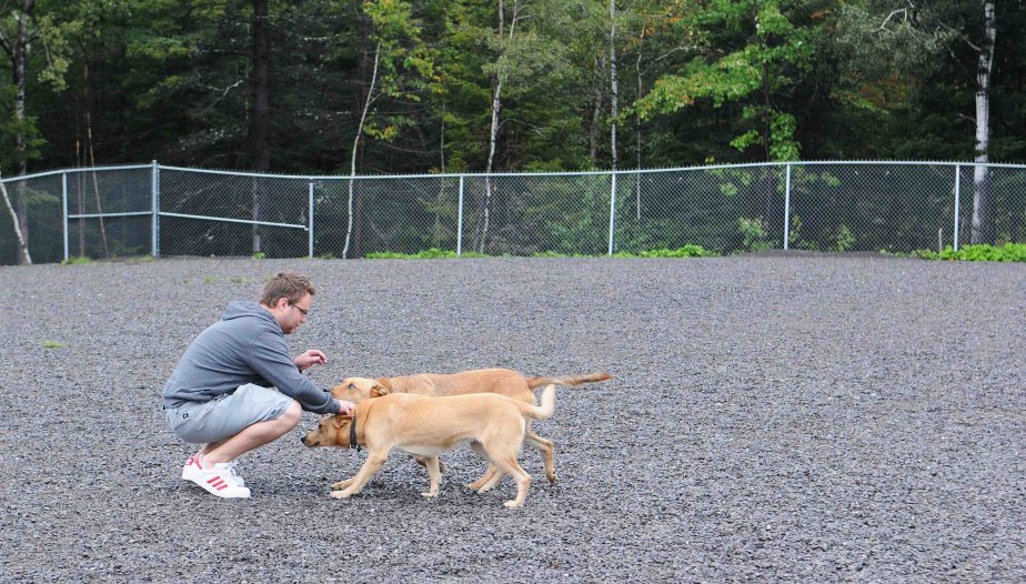 Trois nouveaux parcs à chiens | Laura Lévesque | Actualités Trois nouveaux parcs à chiens | Laura Lévesque | Actualités