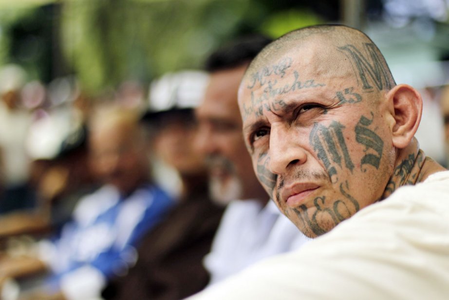 Ms 13 Gang In Deutschland Ms 13 Gang In Deutschland