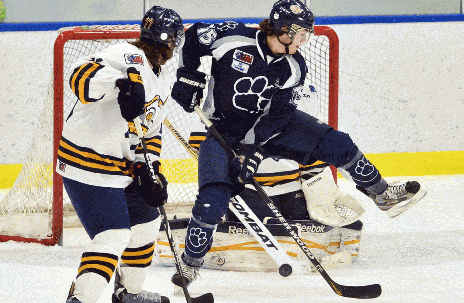 cougars pour moi baie comeau cougars pour moi baie comeau