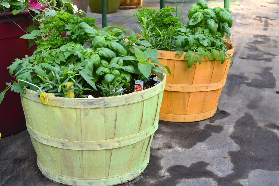 Comment Devenir Un Bon Jardinier | Mélissa Bradette | Toit Et Moi