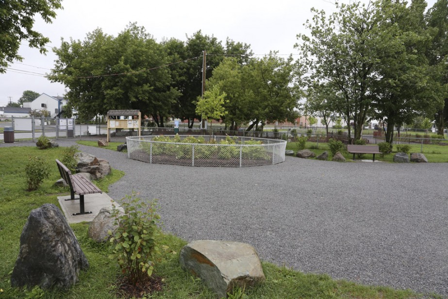 Le réaménagement du parc canin de Granby s'attire des Le réaménagement du parc canin de Granby s'attire des