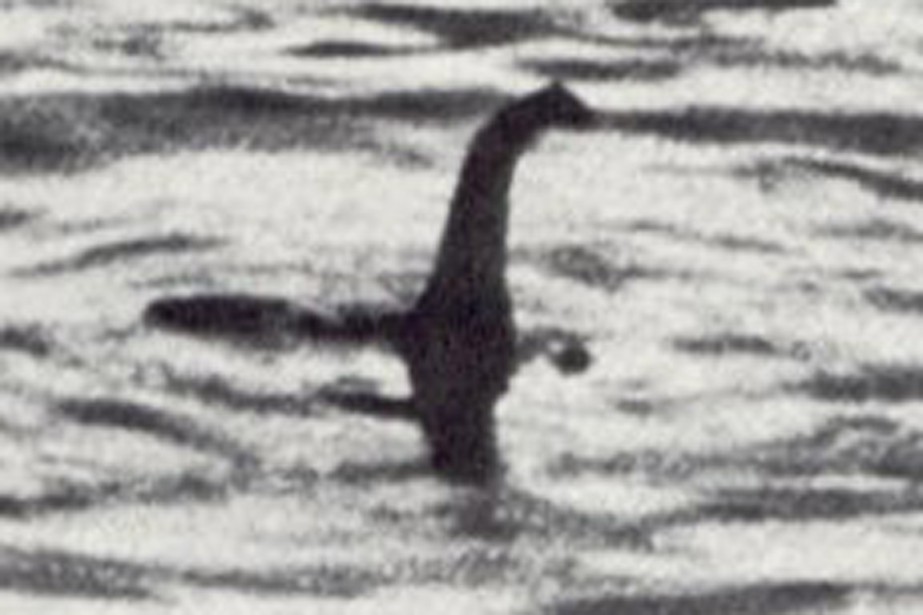 Le Monstre Du Loch Ness Qu Un Poisson Géant