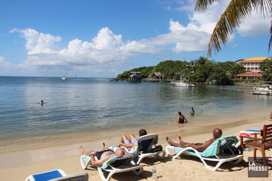 roatan chatrooms Chichi asked me about the bugs in roatan, and yes, they are bad sand fleas are a big issue the resorts along west bay beach rake their sand, so. roatan chatrooms Chichi asked me about the bugs in roatan, and yes, they are bad sand fleas are a big issue the resorts along west bay beach rake their sand, so.