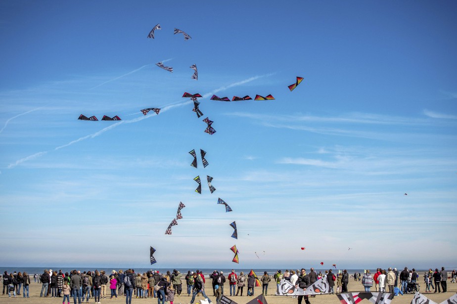 rencontres internationales de cerfs volants berck 2012