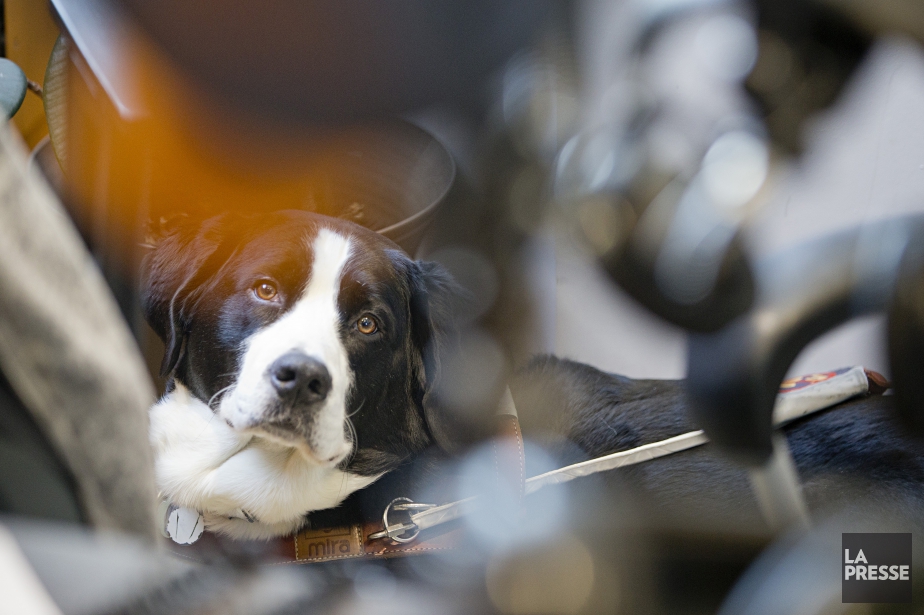 PHOTO DAVID BOILY, LA PRESSE - Montreal ---...