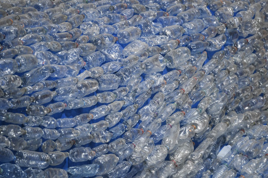 Des scientifiques créent par hasard une enzyme dévoreuse de plastique | Découvertes