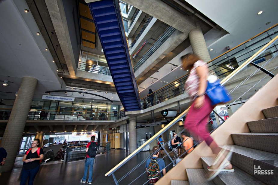Un groupe propose aux profs de l'UQAM d'adopter un «français dégenré» | Philippe Teisceira-Lessard | Éducation