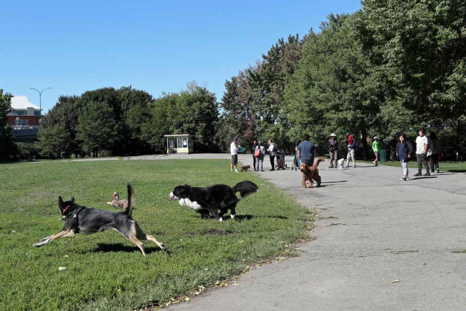 Des citoyens à la défense de leur parc canin | Fanny Des citoyens à la défense de leur parc canin | Fanny