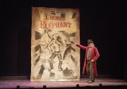 Noël culturel: des spectacles sous le sapin - image 19.0 L'homme éléphant sera sur les planches du Québec... (Photo fournie par le Théâtre du Rideau Vert) - image 19.0
