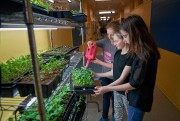Mange local: De la ferme à l'école - Photo 7.0 Annabelle Audet, Gabrielle Dulac et Morena Vasseur, étudiantes en 5e année ... (ANDRÉ PICHETTE, PHOTO, PRESSE) - 7,0