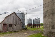 Pesticides: "Ils nous ont dit qu'ils n'étaient pas dangereux" - 6.0 photos Agriculteurs ... (PHOTO MARTIN TREMBLAY, LA PRESSE) - 6.0 images