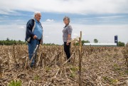 Pesticides: "Ils nous ont dit qu'ils n'étaient pas dangereux" - Figure 9.0 Paul-Émile Carpentier et Elizabeth McNamara ... (PHOTO MARTIN TREMBLAY, UNE PRESSE) - 9,0