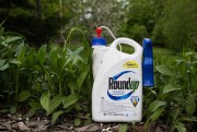Pesticides: "Ils nous ont dit qu'ils n'étaient pas dangereux" - 16.0 L'ingrédient actif de Roundup, le glyphosate, est ... (PHOTO MARTIN TREMBLAY, A PRESS) - 16.0