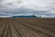 Pesticides: "Ils nous ont dit qu'ils n'étaient pas dangereux" - Image 17.0 Le Centre international de recherche sur le cancer ... (PHOTO MARTIN TREMBLAY, UNE PRESSE) - 17.0