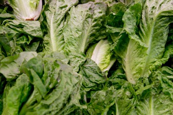 Ottawa demande d'éviter toute laitue romaine