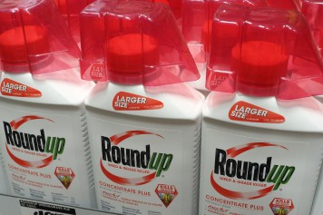 Procès Roundup: Monsanto fait appel de sa condamnation