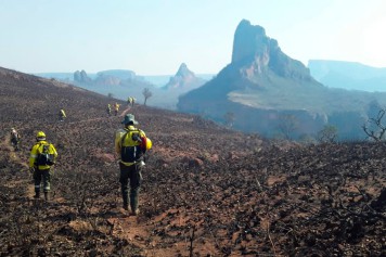 Bolivie : les incendies ont ravagé près d'un million d'hectares