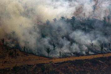 Le Brésil entre en action contre les incendies en Amazonie