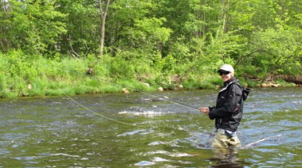 Femmes Au Bord De La Riviere La Presse