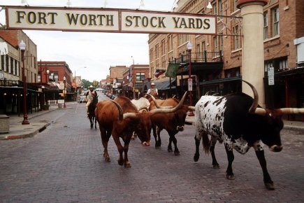 352823 fort worth district situes trois things to do in dallas texas Dallas and Fort Worth with the family