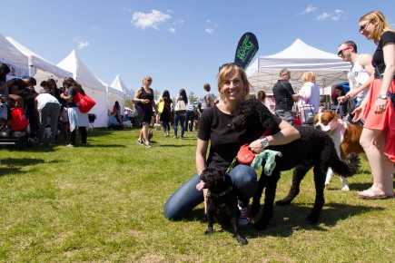 Voyager avec son chien en Amérique du Nord | La Presse