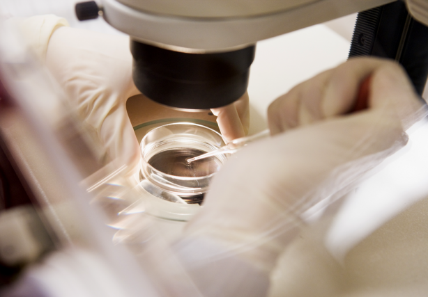 fécondation in vitro prix quebec fécondation in vitro prix quebec