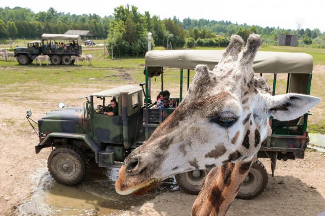 parc safari hemmingford emploi