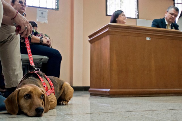 Campeon asiste au procès de son bourreau.... (PHOTO EZEQUIEL BECERRA, AFP)