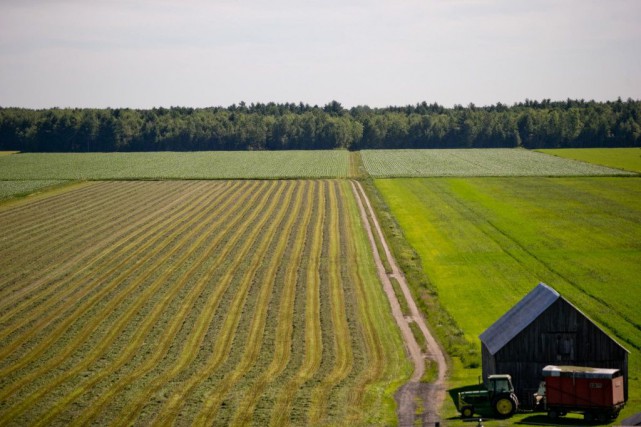 Des chercheurs finlandais ont montré qu'en saupoudrant de... (PHOTO DAVID BOILY, ARCHIVES LA PRESSE)