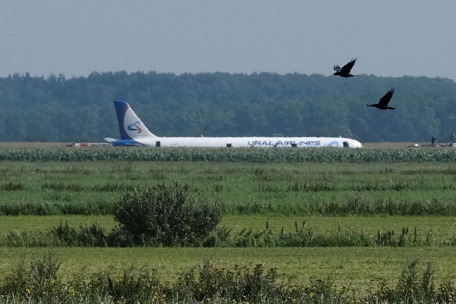 Russie : un Airbus atterrit dans un champ de maïs, les pilotes salués en « héros »