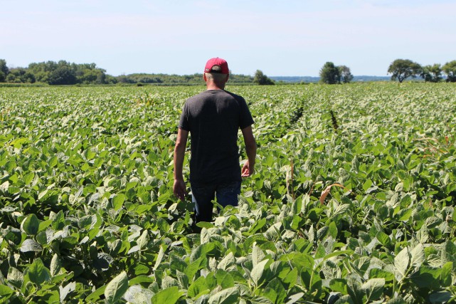 Les agriculteurs touchent « le gros lot » avec l'accord É.-U.-Chine, selon Trump