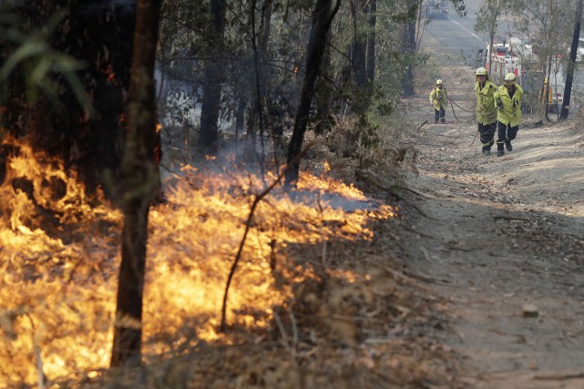 L'Australie se prépare à de nouveaux feux de forêt catastrophiques