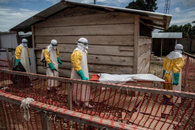 Le réchauffement climatique pourrait favoriser Ebola