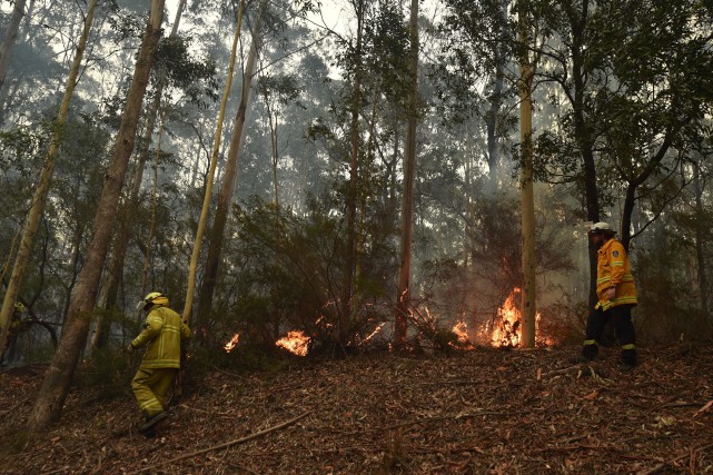 D'autres Canadiens iront combattre les feux en Australie