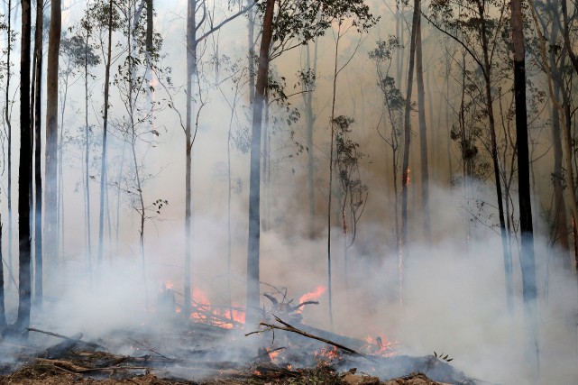 L'état d'alerte déclaré à Canberra sous la menace des incendies de forêt