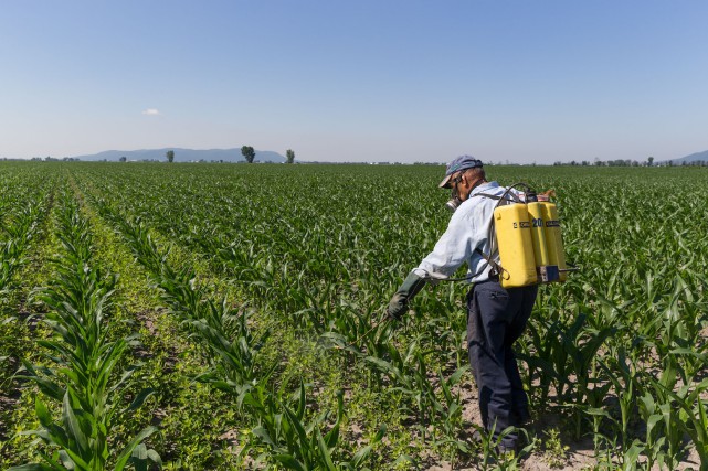 Pesticides: «il y aura des recommandations», dit la CAQ