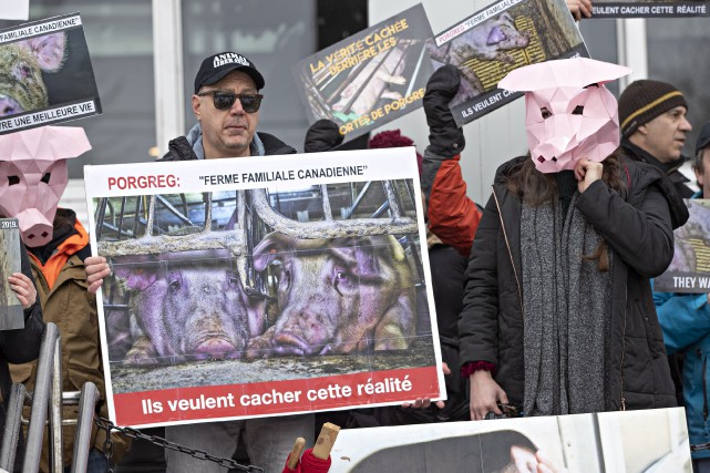 Antispécisme: pas de manifestations à 500 m de fermes pour 10 jours