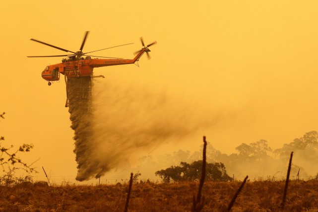 Les incendies de forêt auraient touché 75% des Australiens