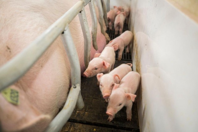 Blocus ferroviaire: «une crise agricole est à nos portes»