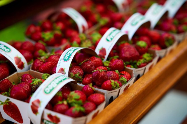 Les producteurs de fraises craignent de devoir augmenter leurs prix