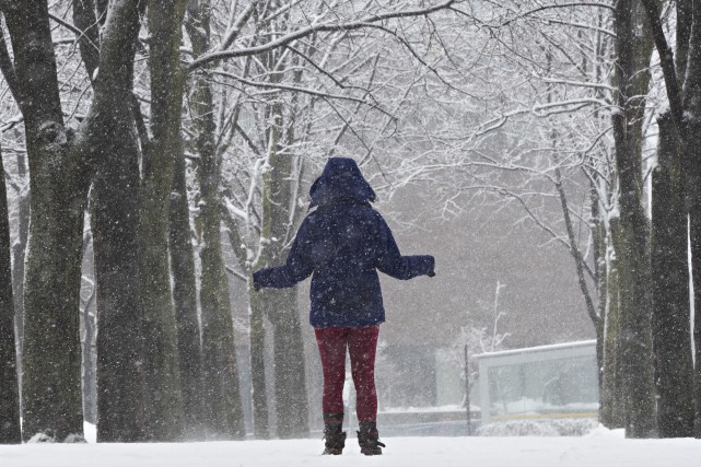 La région de Montréal sous la neige