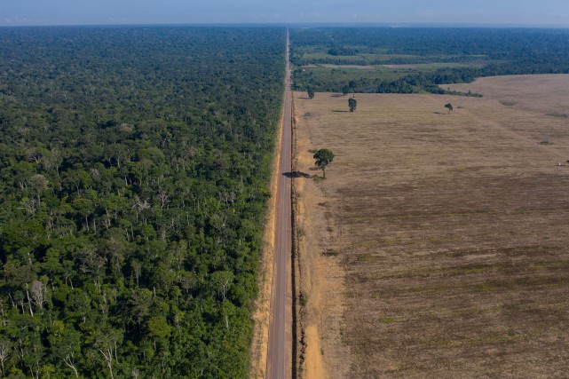 L'Amazonie pourrait disparaître d'ici 50 ans, selon une étude
