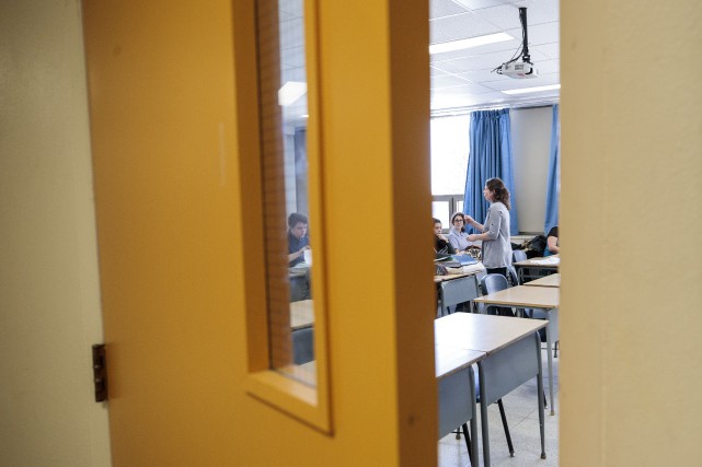 Enseignement à distance : un «défi de taille» pour les cégeps