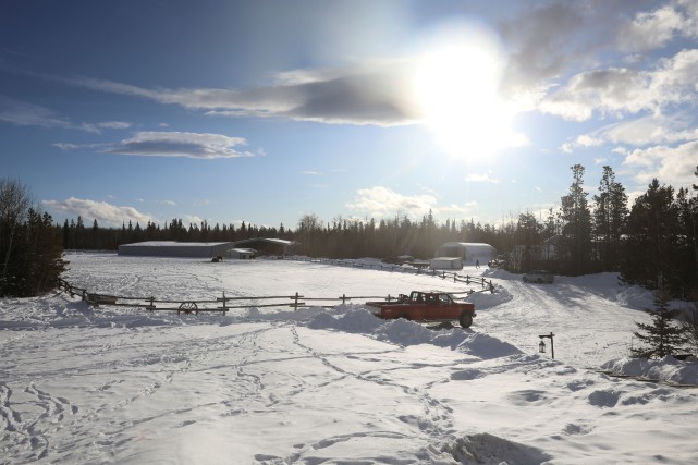 COVID-19: des Québécois tentent de s'enfuir au Yukon