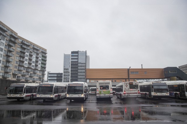 Aucun nouveau cas en huit jours dans les réseaux de transports collectifs